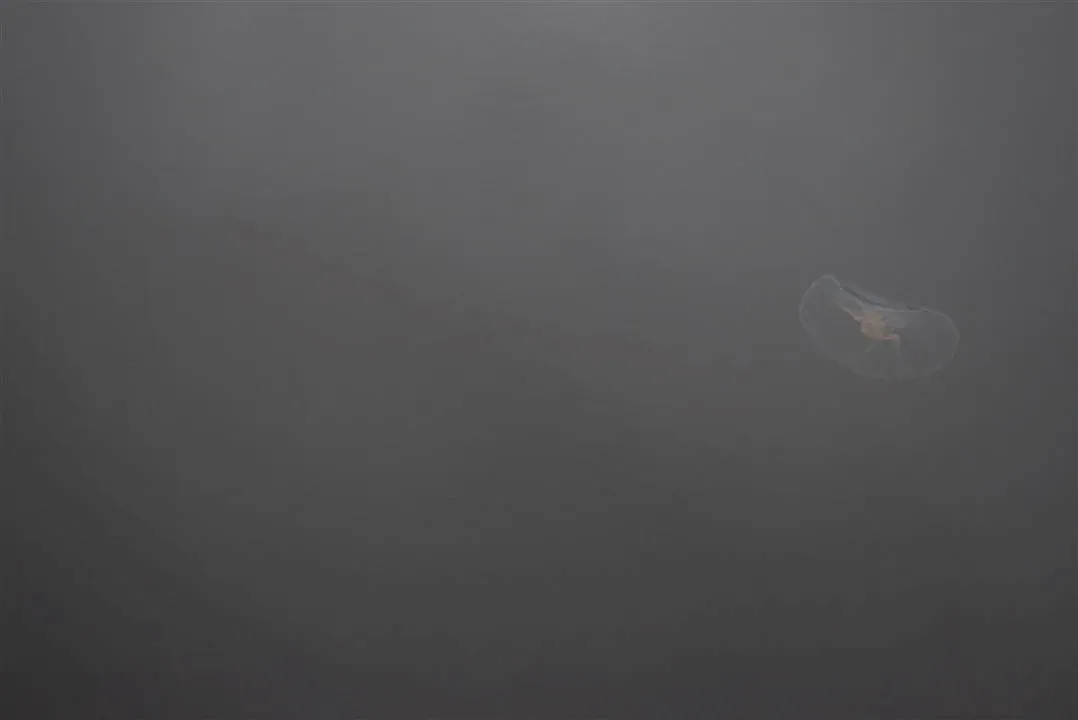 G21.3 mariager fjord ferry to hegedal   bramslev bakker fri 21 jul (13)